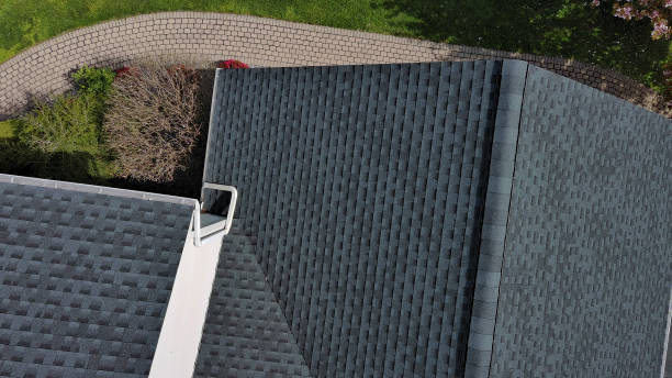 Best Sheet Metal Roofing  in Excelsior Springs, MO